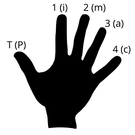 fingerpicking basic