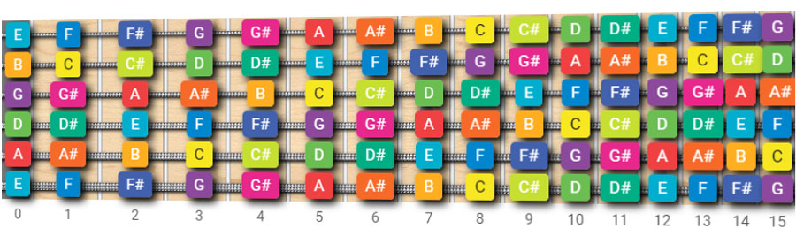 5 String Bass Guitar Fretboard Chart