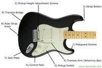 Guitar Parts Names | Know The Parts Of Electric Guitar article icon