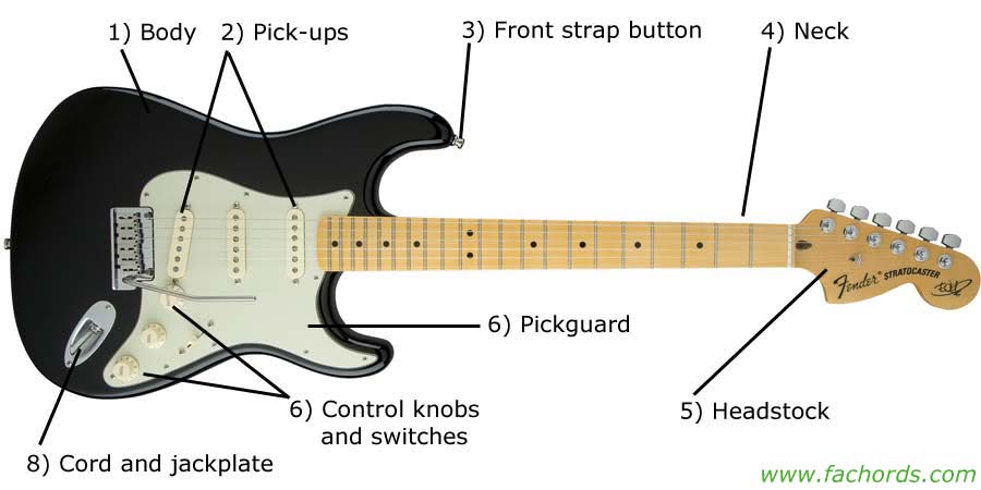 Image result for parts of a electric guitar