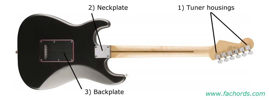 solid body parts rear