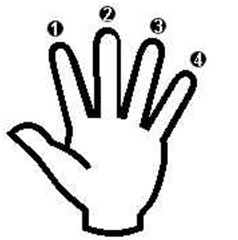 chords fingers placement diagram
